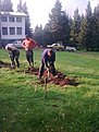 Натиснете снимката за да я уголемите

Име:Bild0033.jpg
Прегледи:365
Размер:100.0 КБ
ID:5282402