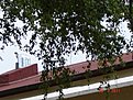 Натиснете снимката за да я уголемите

Име:DSC04461.jpg
Прегледи:198
Размер:173.6 КБ
ID:5291975