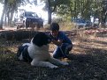 Натиснете снимката за да я уголемите

Име:04092011720.jpg
Прегледи:239
Размер:181.5 КБ
ID:5300700