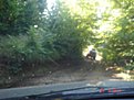 Натиснете снимката за да я уголемите

Име:DSC03567.jpg
Прегледи:237
Размер:88.0 КБ
ID:5306272
