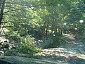 Натиснете снимката за да я уголемите

Име:DSC03585.jpg
Прегледи:229
Размер:195.4 КБ
ID:5306289