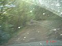 Натиснете снимката за да я уголемите

Име:DSC03587.jpg
Прегледи:233
Размер:114.7 КБ
ID:5306291