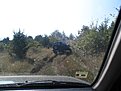 Натиснете снимката за да я уголемите

Име:Picture11111111111 087.jpg
Прегледи:218
Размер:125.7 КБ
ID:5306317