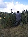 Натиснете снимката за да я уголемите

Име:DCP12717.jpg
Прегледи:158
Размер:79.9 КБ
ID:5307195