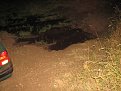 Натиснете снимката за да я уголемите

Име:IMG_0352.jpg
Прегледи:214
Размер:147.6 КБ
ID:5307831