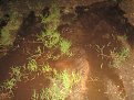 Натиснете снимката за да я уголемите

Име:IMG_0353.jpg
Прегледи:218
Размер:173.4 КБ
ID:5307832