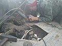 Натиснете снимката за да я уголемите

Име:DSC00399.jpg
Прегледи:248
Размер:100.5 КБ
ID:5311432