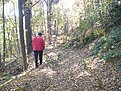 Натиснете снимката за да я уголемите

Име:DSC07685.jpg
Прегледи:164
Размер:256.9 КБ
ID:5315464
