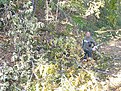 Натиснете снимката за да я уголемите

Име:DSC07688.jpg
Прегледи:155
Размер:254.7 КБ
ID:5315466