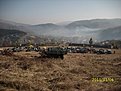 Натиснете снимката за да я уголемите

Име:IMG_2234.jpg
Прегледи:195
Размер:166.7 КБ
ID:5316820