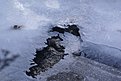 Натиснете снимката за да я уголемите

Име:Razhogka 20.11.2011 145.jpg
Прегледи:234
Размер:123.1 КБ
ID:5321075