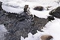 Натиснете снимката за да я уголемите

Име:Razhogka 20.11.2011 146.jpg
Прегледи:236
Размер:159.7 КБ
ID:5321076