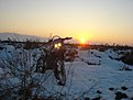 Натиснете снимката за да я уголемите

Име:DSC04374.jpg
Прегледи:166
Размер:103.6 КБ
ID:5333216