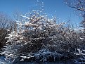Натиснете снимката за да я уголемите

Име:PC180072.jpg
Прегледи:444
Размер:281.5 КБ
ID:5334473