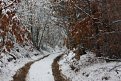 Натиснете снимката за да я уголемите

Име:IMG_2755.jpg
Прегледи:215
Размер:150.0 КБ
ID:5338413