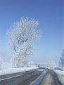 Натиснете снимката за да я уголемите

Име:DSCF0989.jpg
Прегледи:276
Размер:67.1 КБ
ID:5341738