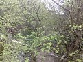 Натиснете снимката за да я уголемите

Име:29042011707.jpg
Прегледи:135
Размер:287.0 КБ
ID:5346259