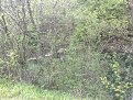 Натиснете снимката за да я уголемите

Име:29042011710.jpg
Прегледи:139
Размер:325.6 КБ
ID:5346262