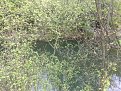 Натиснете снимката за да я уголемите

Име:29042011711.jpg
Прегледи:139
Размер:318.9 КБ
ID:5346263