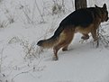 Натиснете снимката за да я уголемите

Име:P2110006.jpg
Прегледи:261
Размер:70.2 КБ
ID:5346458