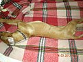 Натиснете снимката за да я уголемите

Име:DSCN1800.jpg
Прегледи:238
Размер:165.0 КБ
ID:5358178