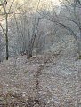 Натиснете снимката за да я уголемите

Име:IMAG0085.jpg
Прегледи:555
Размер:133.6 КБ
ID:5358387