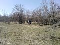 Натиснете снимката за да я уголемите

Име:P170312_13.44.jpg
Прегледи:505
Размер:312.2 КБ
ID:5358407