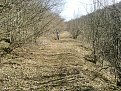 Натиснете снимката за да я уголемите

Име:P170312_15.41.jpg
Прегледи:511
Размер:409.2 КБ
ID:5358411