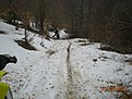 Натиснете снимката за да я уголемите

Име:Picture 032.jpg
Прегледи:439
Размер:142.8 КБ
ID:5361766