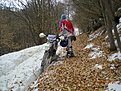 Натиснете снимката за да я уголемите

Име:Picture 039.jpg
Прегледи:199
Размер:200.6 КБ
ID:5361768