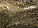 Натиснете снимката за да я уголемите

Име:Picture 089.jpg
Прегледи:181
Размер:199.2 КБ
ID:5361795