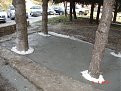Натиснете снимката за да я уголемите

Име:DSC00487.jpg
Прегледи:434
Размер:178.9 КБ
ID:5362176