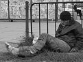 Натиснете снимката за да я уголемите

Име:IMG_7445.JPG
Прегледи:204
Размер:294.8 КБ
ID:5362834