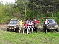 Натиснете снимката за да я уголемите

Име:Великденска ра&amp;#10.jpg
Прегледи:146
Размер:265.9 КБ
ID:5366414