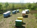 Натиснете снимката за да я уголемите

Име:DSC06926.jpg
Прегледи:232
Размер:213.6 КБ
ID:5367042