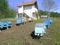 Натиснете снимката за да я уголемите

Име:DSC06930.jpg
Прегледи:229
Размер:212.3 КБ
ID:5367046