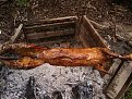 Натиснете снимката за да я уголемите

Име:IMAGE_924.jpg
Прегледи:502
Размер:120.3 КБ
ID:5367050