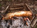 Натиснете снимката за да я уголемите

Име:IMAGE_705.jpg
Прегледи:478
Размер:249.6 КБ
ID:5367051