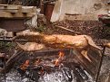 Натиснете снимката за да я уголемите

Име:IMAGE_925.jpg
Прегледи:482
Размер:190.2 КБ
ID:5367052
