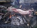 Натиснете снимката за да я уголемите

Име:IMAGE_918.jpg
Прегледи:477
Размер:188.2 КБ
ID:5367053