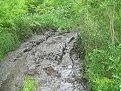 Натиснете снимката за да я уголемите

Име:Нива+Паджеро 007.jpg
Прегледи:143
Размер:307.5 КБ
ID:5373784