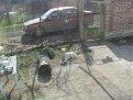 Натиснете снимката за да я уголемите

Име:Picture 010.jpg
Прегледи:315
Размер:194.1 КБ
ID:5374448