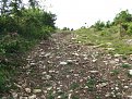 Натиснете снимката за да я уголемите

Име:DSCF2775.jpg
Прегледи:228
Размер:265.5 КБ
ID:5375844