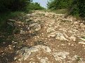 Натиснете снимката за да я уголемите

Име:DSCF2771.jpg
Прегледи:224
Размер:261.2 КБ
ID:5376397