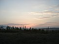 Натиснете снимката за да я уголемите

Име:DSC08416.jpg
Прегледи:302
Размер:52.2 КБ
ID:5399140