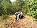 Натиснете снимката за да я уголемите

Име:DSCN3794.jpg
Прегледи:266
Размер:329.0 КБ
ID:5400050