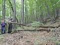 Натиснете снимката за да я уголемите

Име:DSCN3850.jpg
Прегледи:226
Размер:224.7 КБ
ID:5400068
