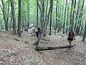 Натиснете снимката за да я уголемите

Име:DSCN3856.jpg
Прегледи:216
Размер:289.0 КБ
ID:5400072