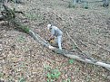 Натиснете снимката за да я уголемите

Име:DSCN3867.jpg
Прегледи:240
Размер:306.9 КБ
ID:5400077