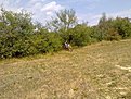 Натиснете снимката за да я уголемите

Име:5159058x.jpg
Прегледи:112
Размер:87.7 КБ
ID:5400685